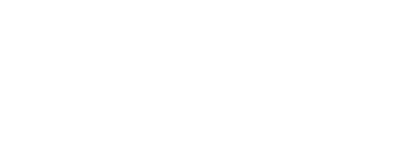 نظام طلب الدعم العيني